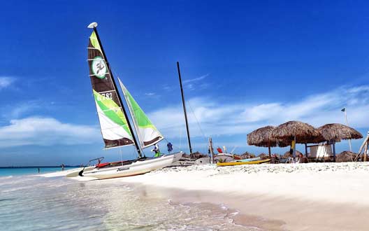 服务器攻击软件